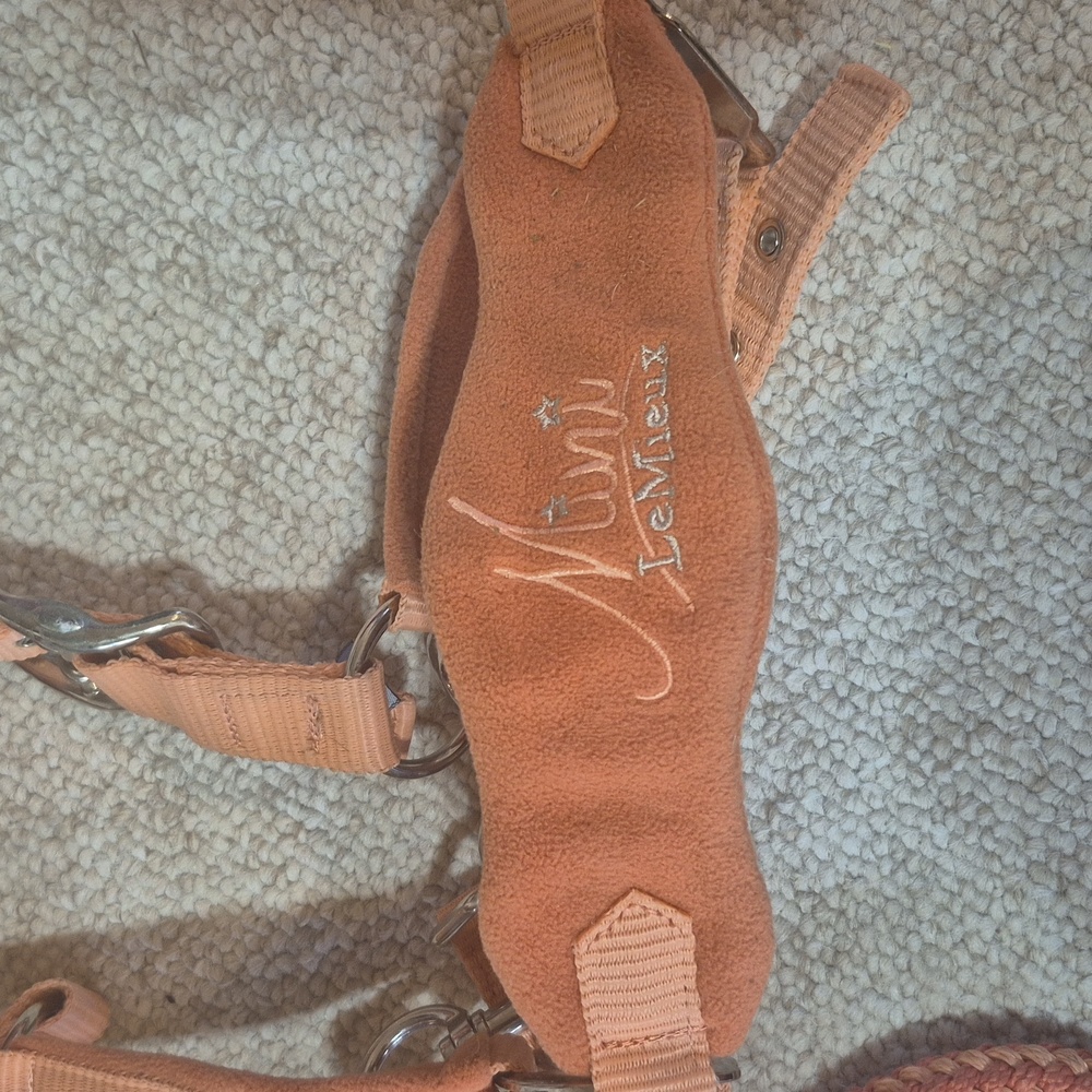 Lemieux Mini Vogue Halter Apricot - Picture 3 of 3